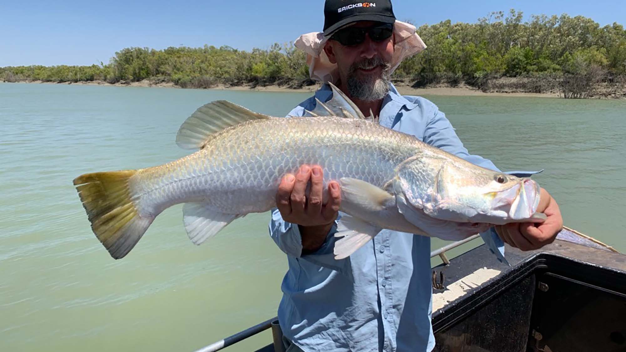 Million Dollar Fish Darwin - Fish & Feast in the Top End