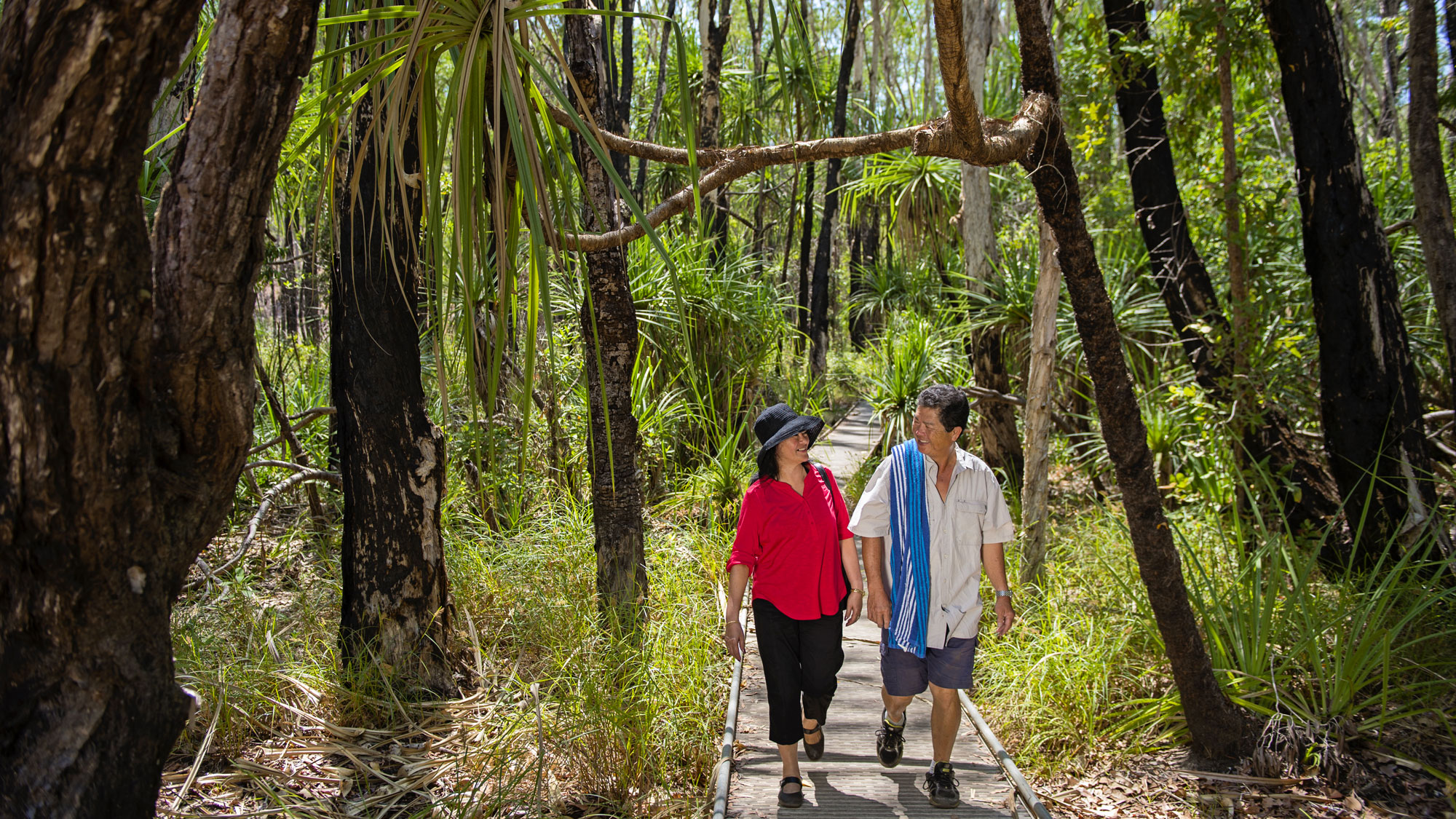 Top End Natural Highlights Eco Adventure - NT Now