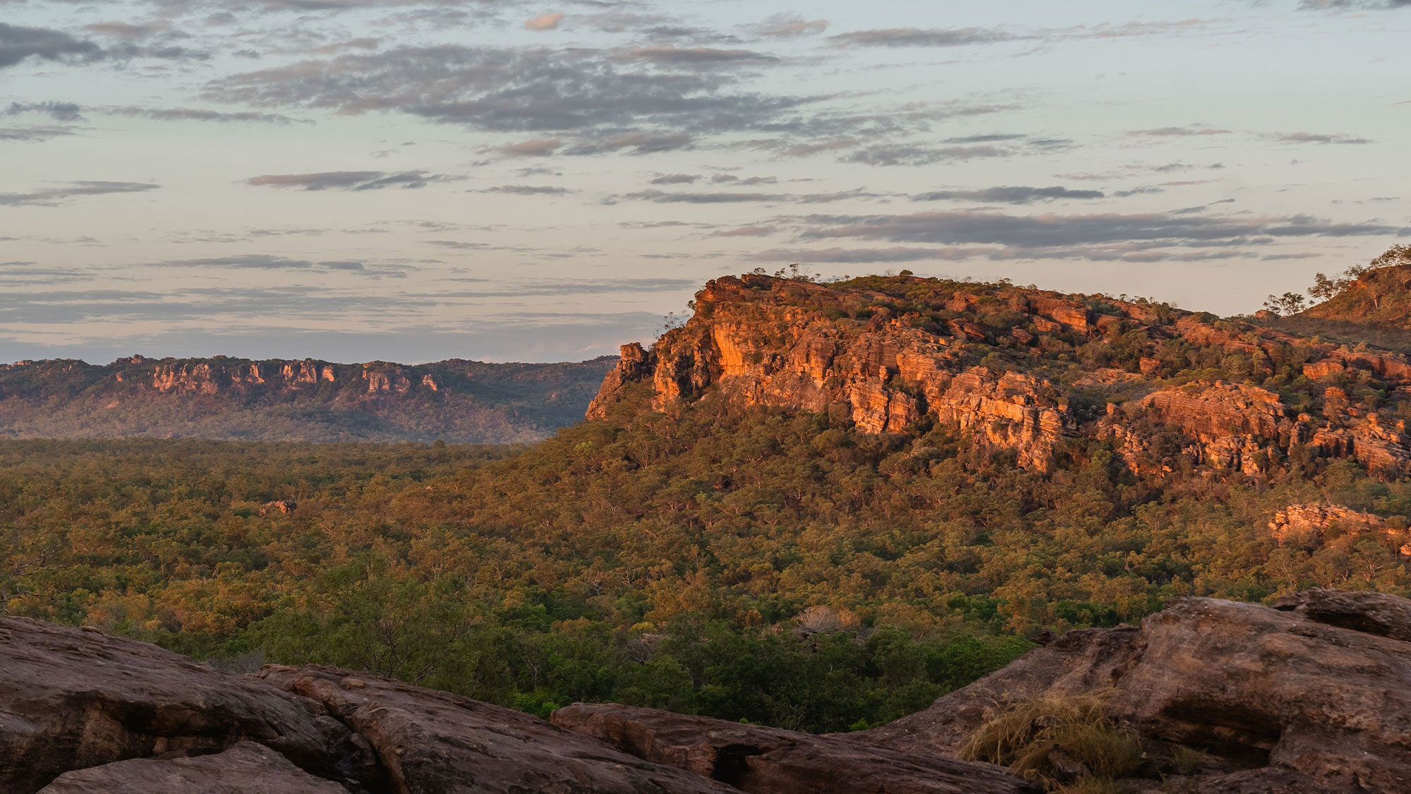 Top End Treasure Trail Million Dollar Fish Self Drive