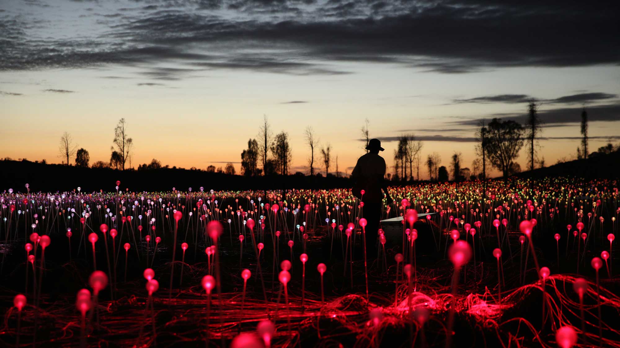 Uluru Desert Lights - NT Now