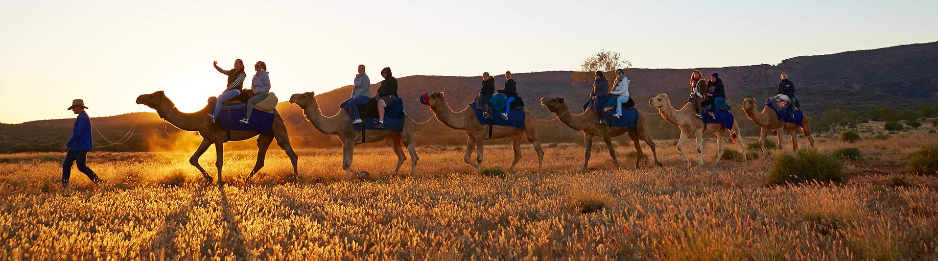 The Best NT animal experiences